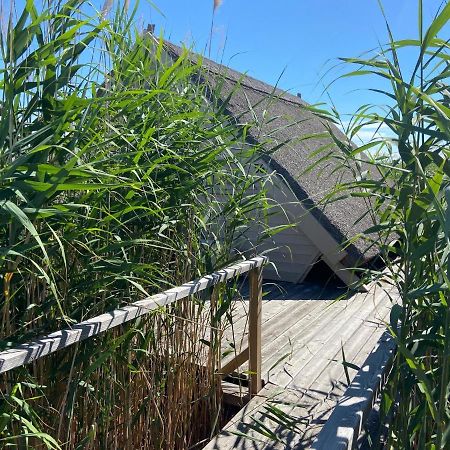 Seehuette Neusiedlersee - Waterfront 2 Руст Екстер'єр фото